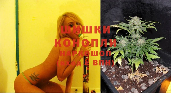 таблы Козельск