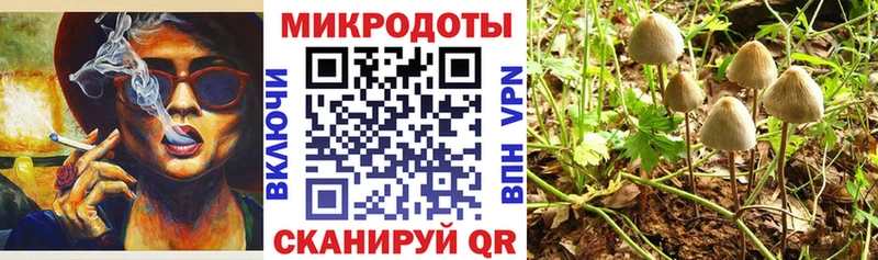 мориарти наркотические препараты  Михайловка  Галлюциногенные грибы мицелий 